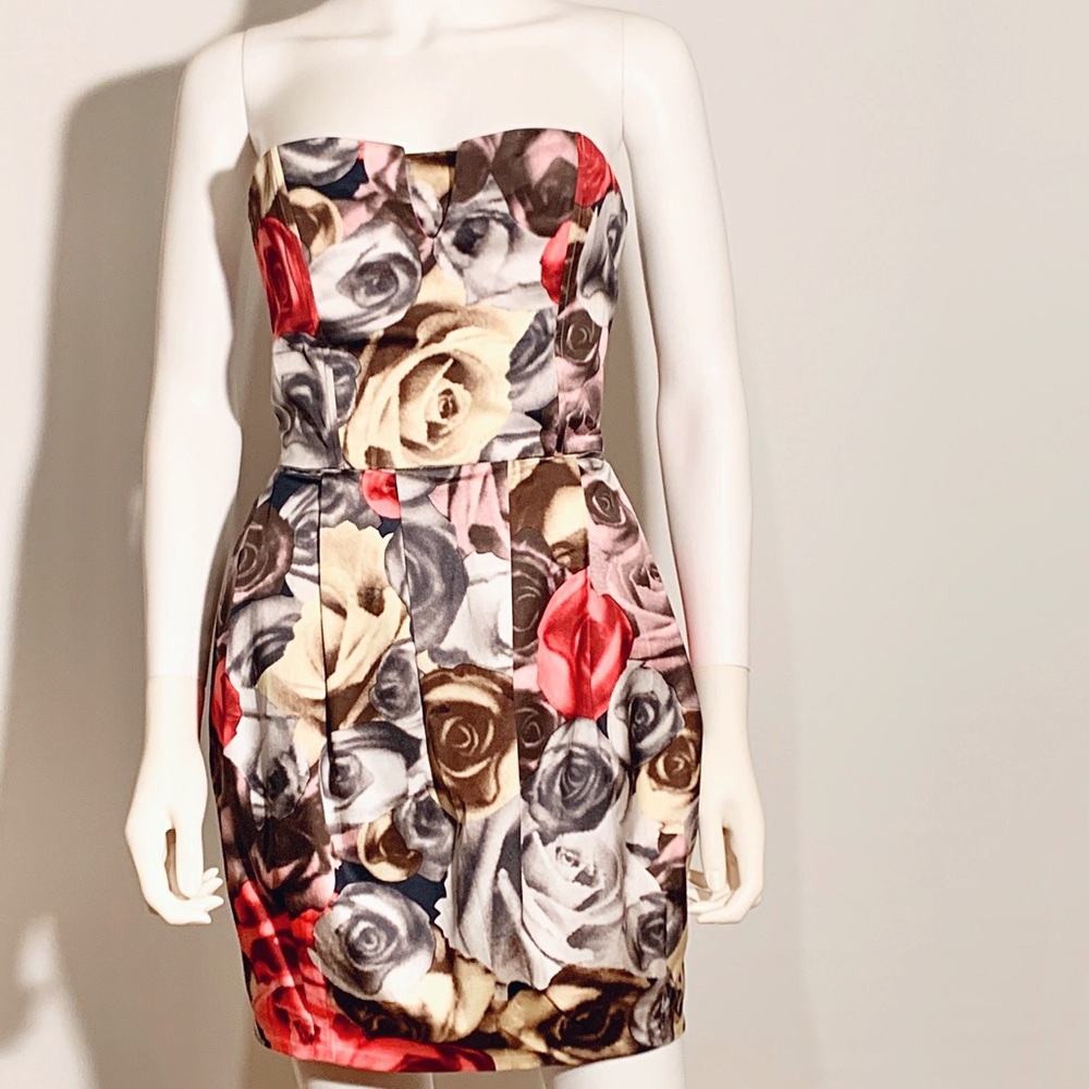 Rose Print Strapless Dress
